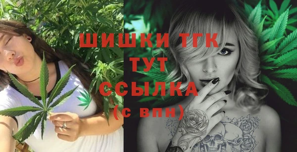 дмт Алзамай