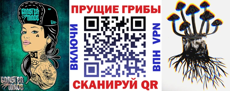 наркошоп  Анжеро-Судженск  Псилоцибиновые грибы Cubensis 